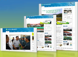 经典案例 杭州网站建设 高端网站设计 专业网站制作公司 蒙特 